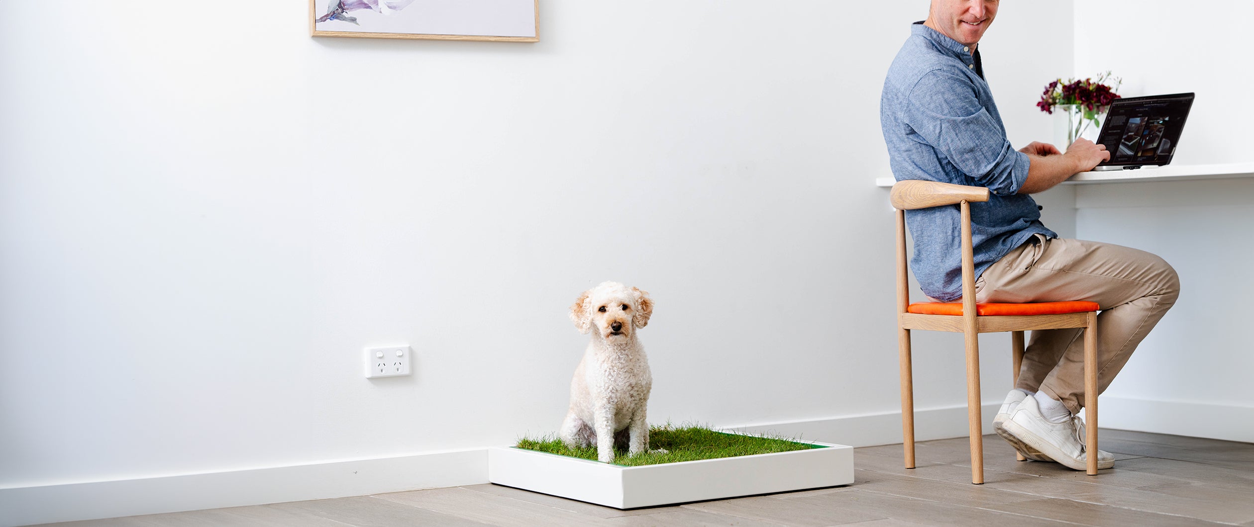 Getting a Furbaby? 10 Dog Breeds That Are More Likely to Thrive in Apartments