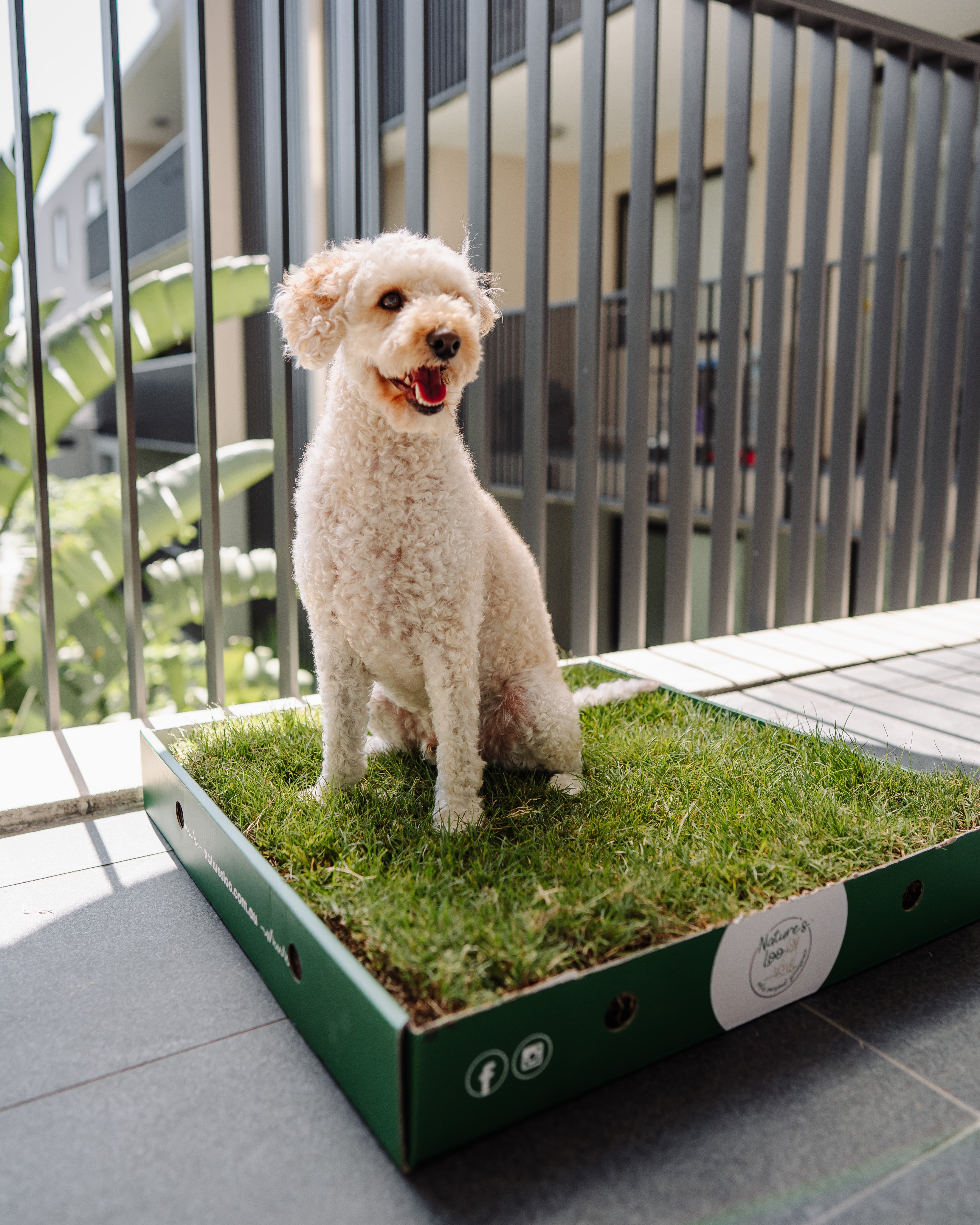 Real Grass Dog Toilet - Single
