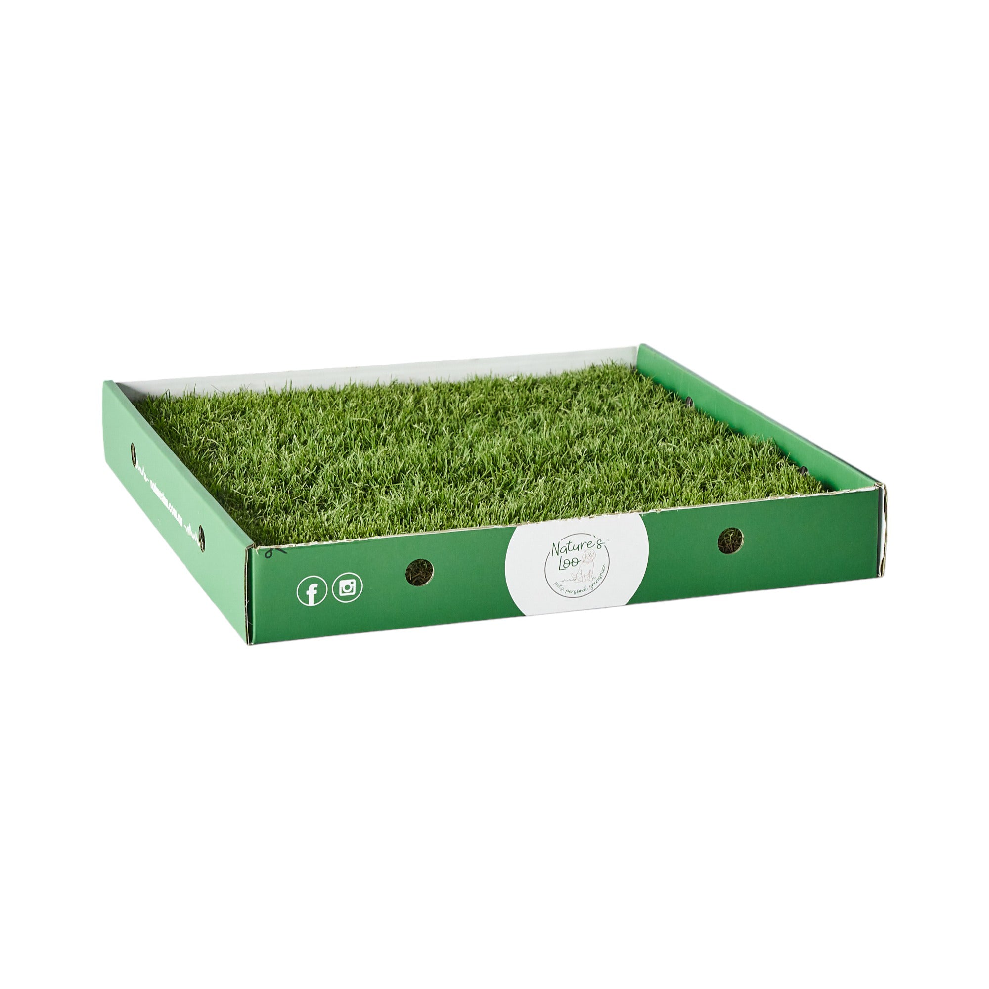 Real Grass Dog Toilet Single