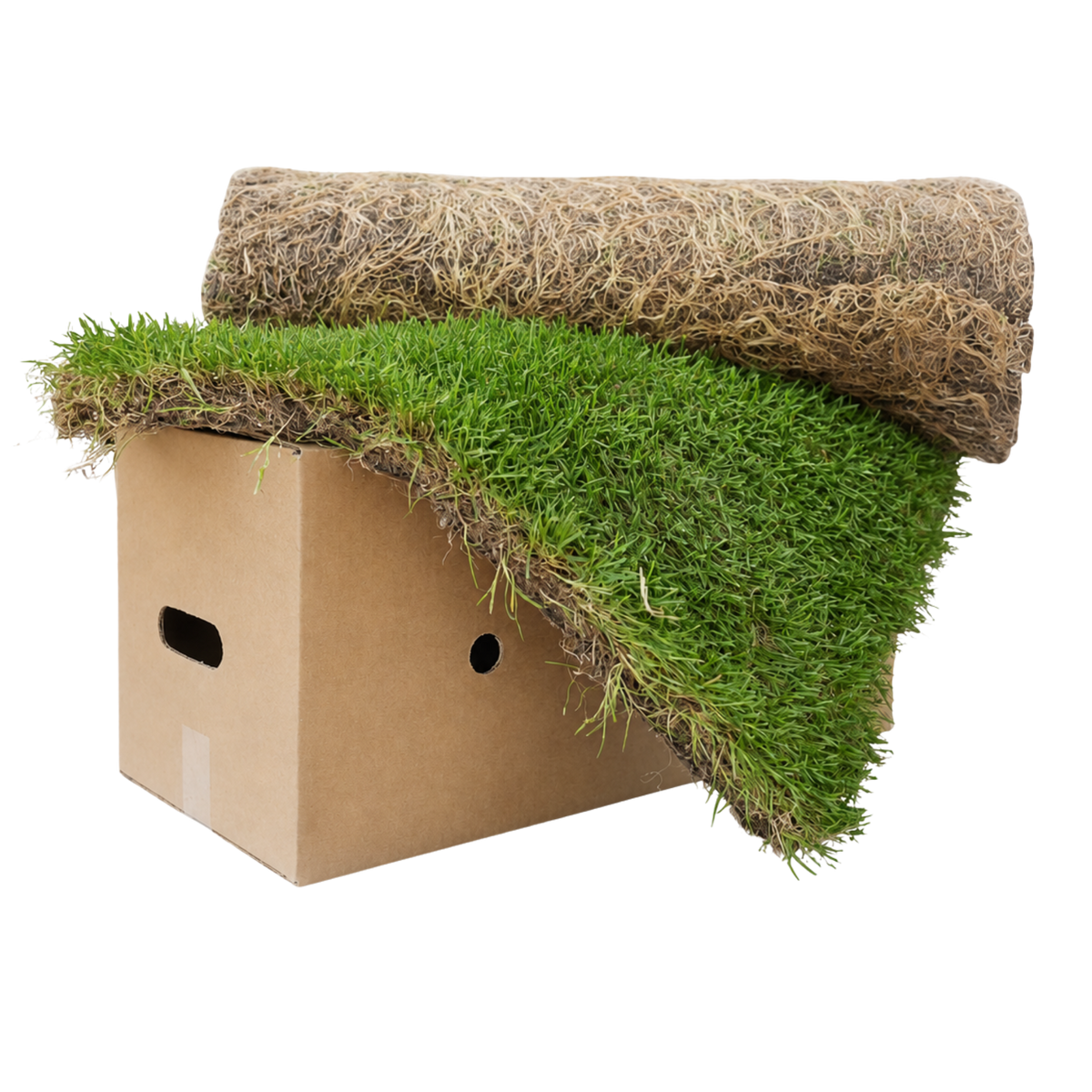 *NEW* Nature’s Loo PLUS