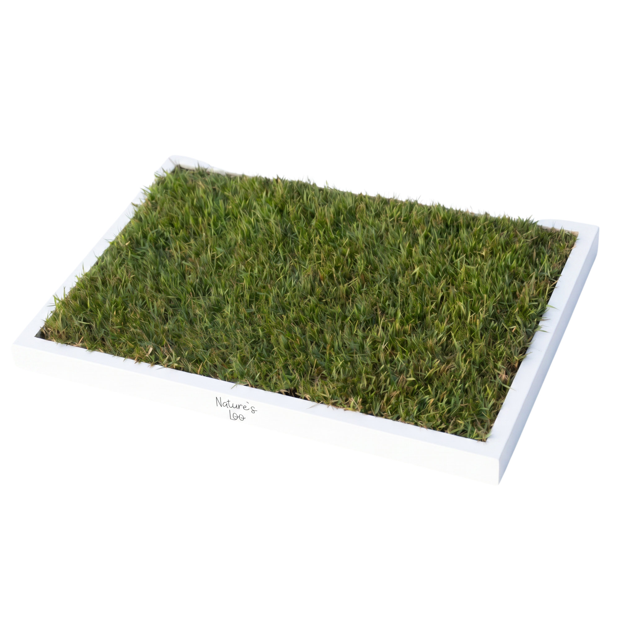 Real Grass Dog Toilet - PLUS COMING SOON