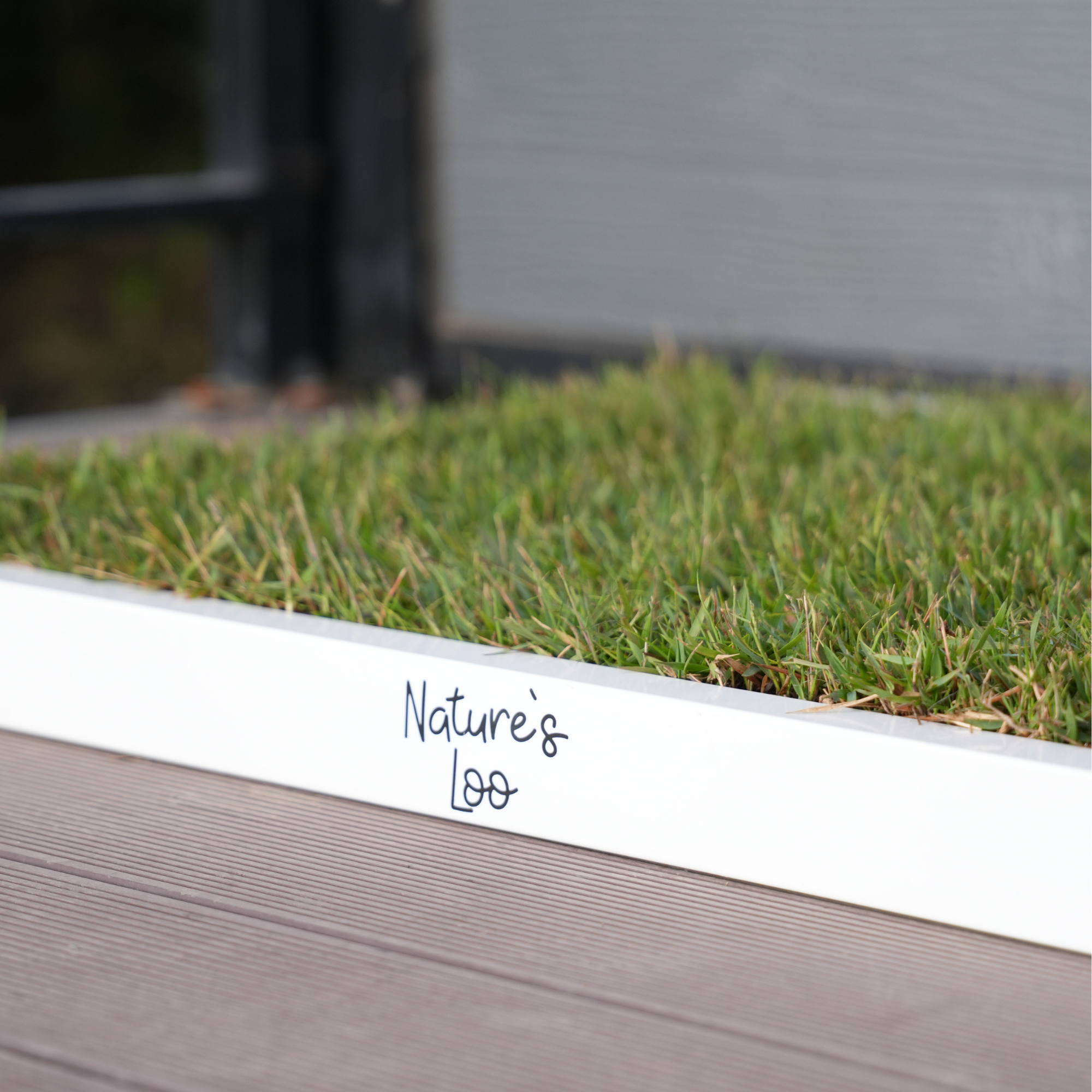 Real Grass Dog Toilet - PLUS COMING SOON